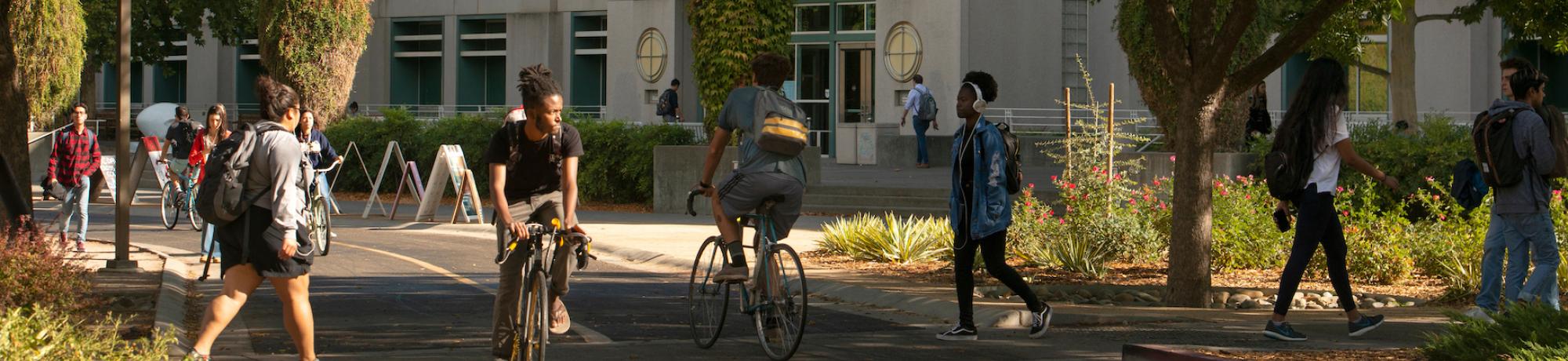 Students at UC Davis